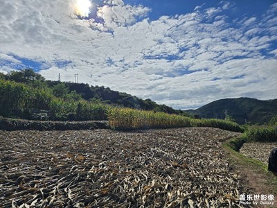 【光影里的尋找】天