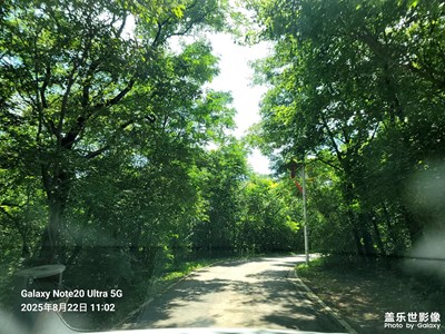 【光影里的尋找】+小拍