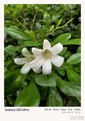 25u升級(jí)8.0系統(tǒng)相機(jī)成像風(fēng)格