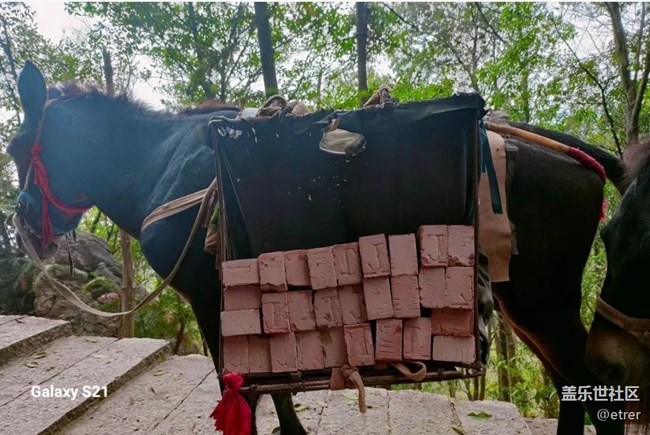 【深灣映秋】工作