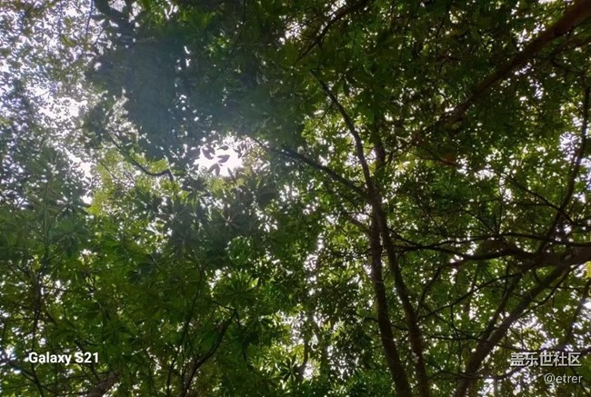 【深灣映秋】工作