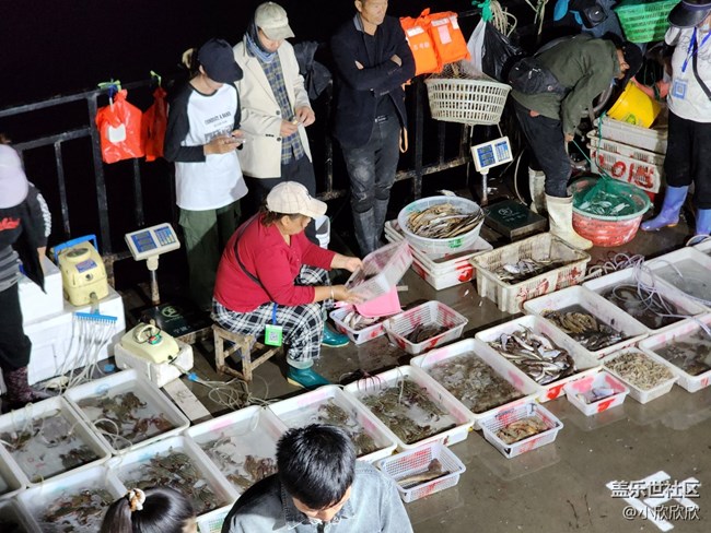 【假日尾聲】假期景色