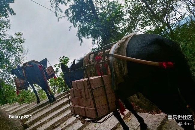 【深灣映秋】工作