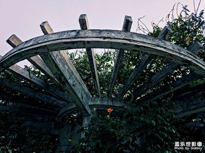 天津水上公園隨拍記錄