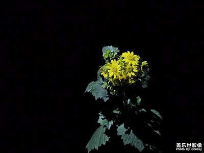 【光影里的尋找】+光影下