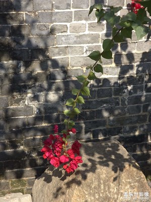 【光影里的尋找】+場(chǎng)景小拍