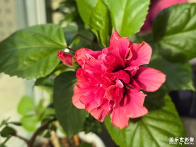 【光影里的尋找】+自然之美