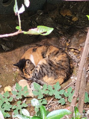 光影里的尋找＋好