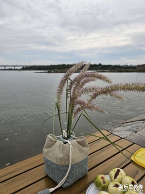 【光影里的尋找】定格那一剎