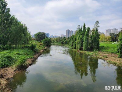 【光影里的尋找】+ 雁南公園