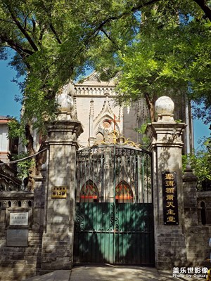 【光影里的尋找】+樹影婆娑