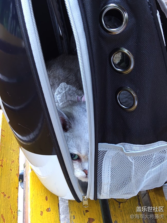 【被遺忘的角落】被遺忘的角落也有光