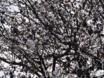 【光影里的尋找】+光影交錯(cuò)