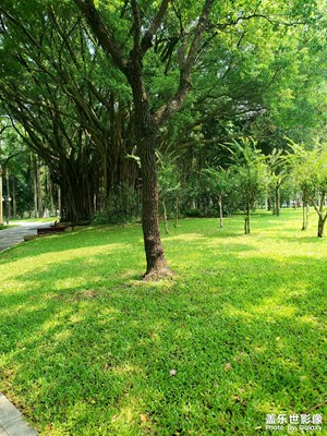 【光影里的尋找】太陽下的美景