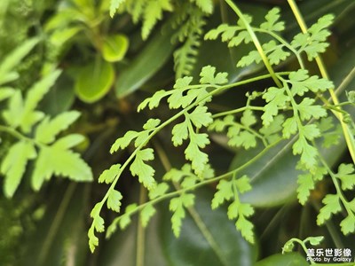 【光影里的尋找】+陽(yáng)光里