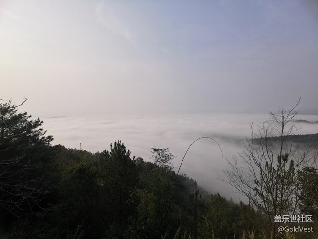 【初秋】初秋的金色時(shí)光