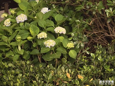 【光影里的尋找】+夜晚的光影