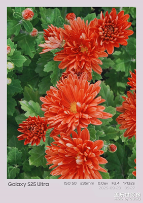 紅似火，綠似寶石