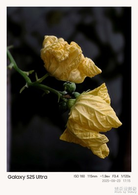 【我的視界】+我眼“框”里的世界