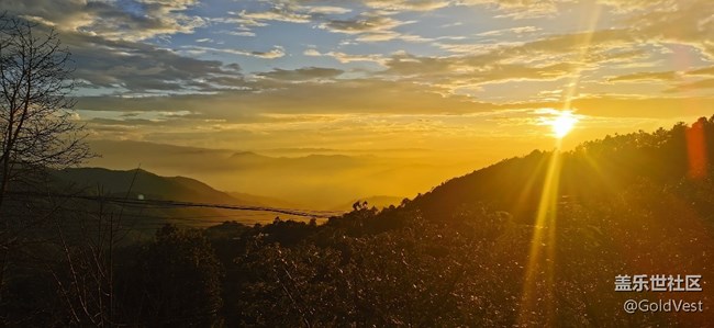 【初秋】初秋的金色時(shí)光