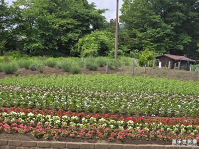 【光影里的尋找】+晴朗無比