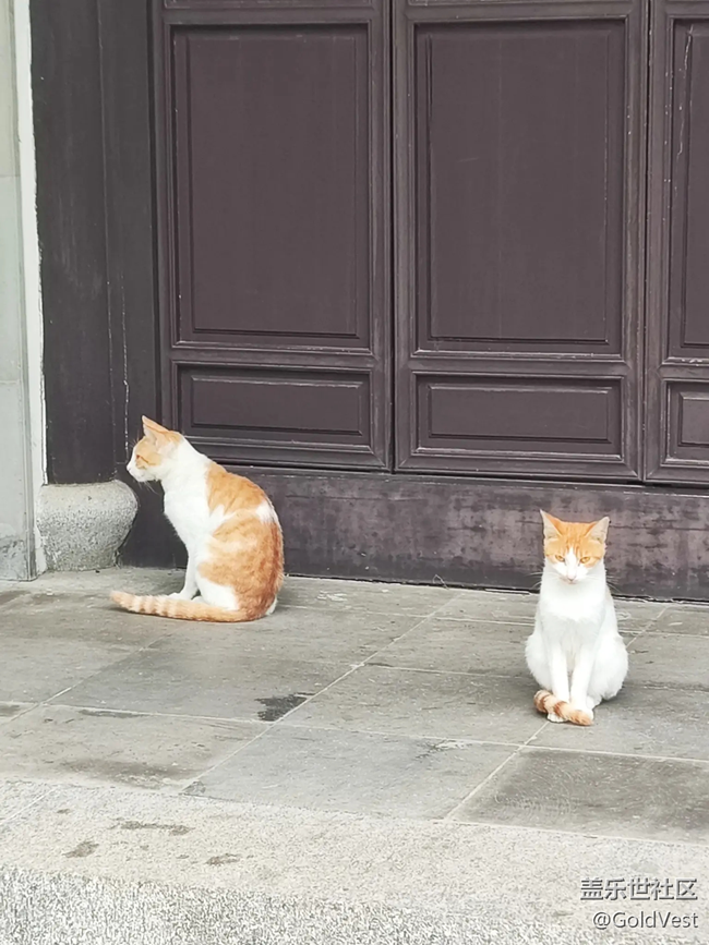 【初秋】秋雨綿綿