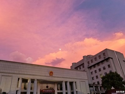 隨手拍(7)