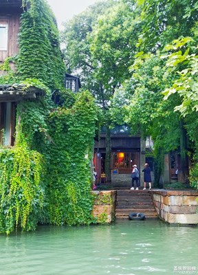 那一抹綠