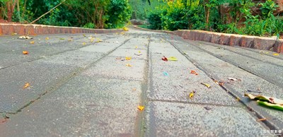 雨后我從千佛山走來