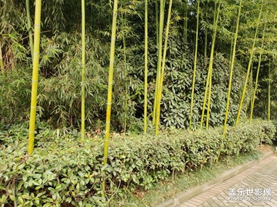 合肥半邊街隨手拍，