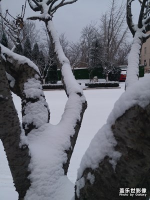 【這世界正美】+有雪的冬日才美