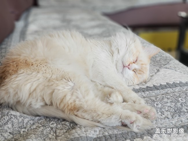隨手拍