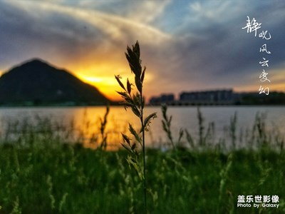 我心無塵