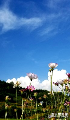 夏日的清涼