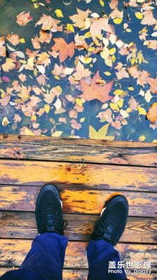 風(fēng)執(zhí)筆 落葉成畫(huà)