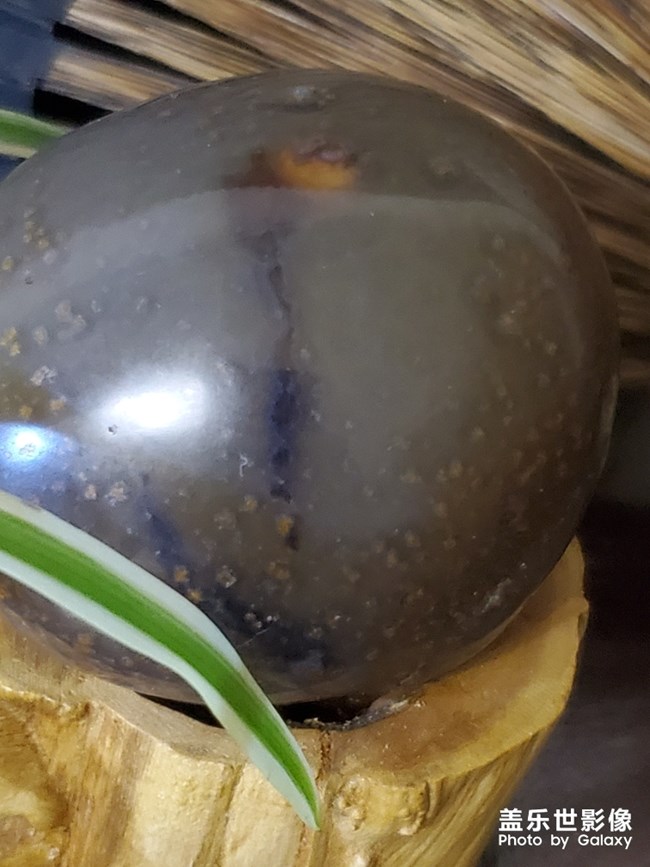 夢蓮？？？？