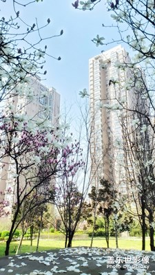 【賞春】+于校園、于小區(qū)