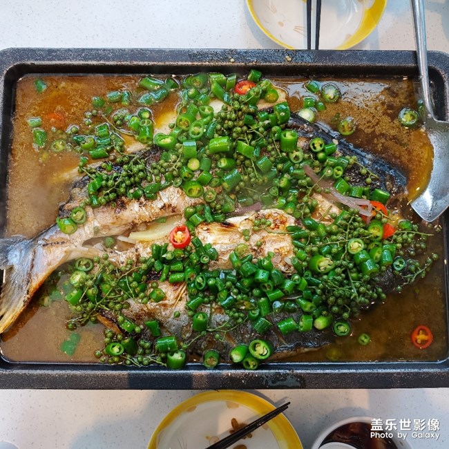 探魚＆鮮芋仙