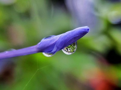 【美好速記】+靜聽“叮咚”