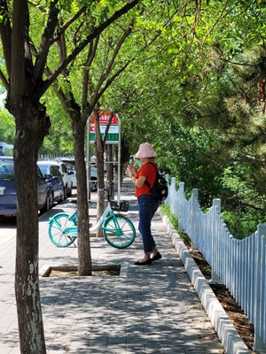 我的腳步+另一種生活方式