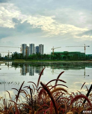 【天下秋】+秋風(fēng)夕陽草見黃