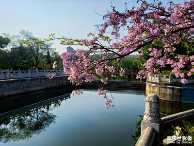 【新春星色彩】+春光無限好