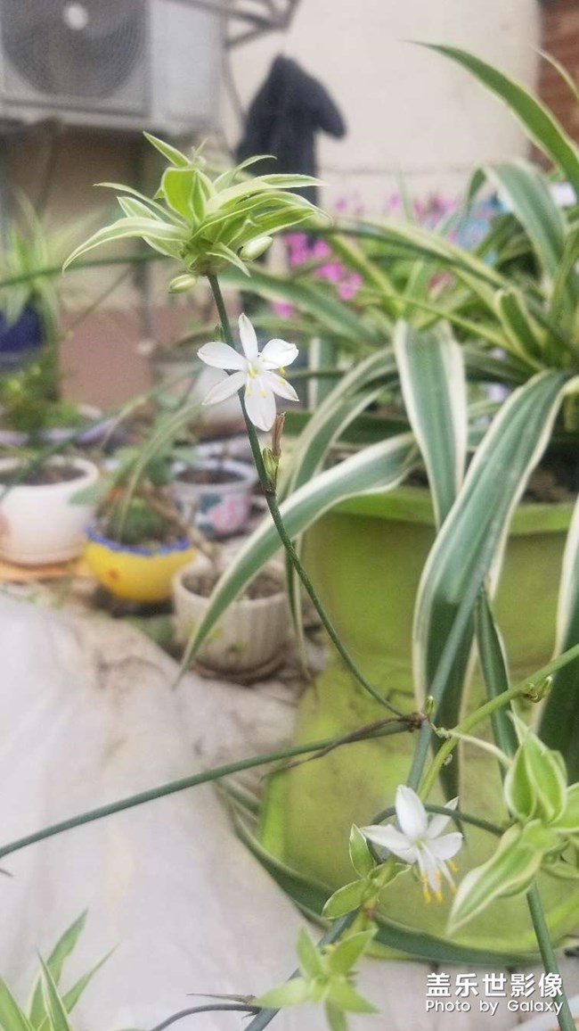 5月1曰