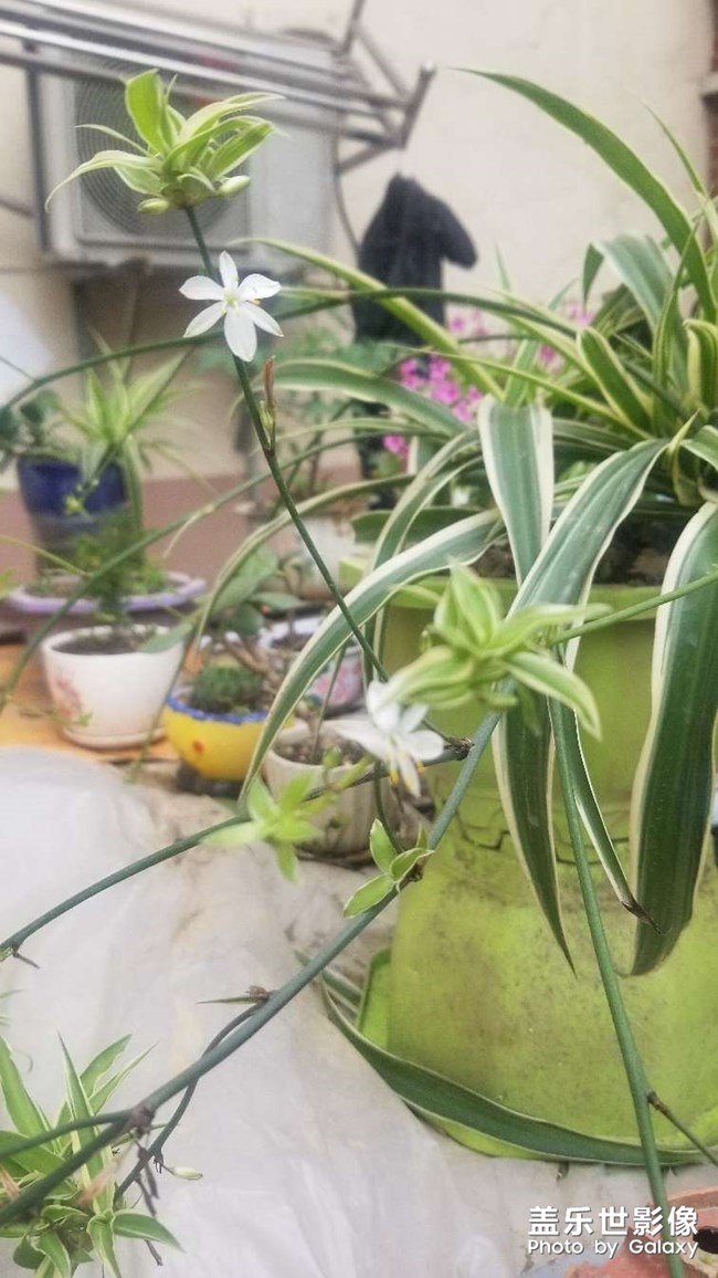 5月1曰