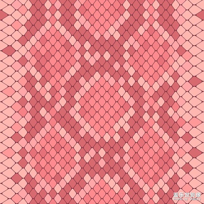 壁紙