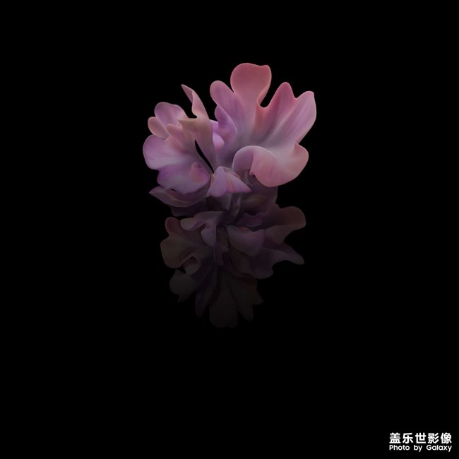 壁紙