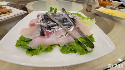 【星動(dòng)一夏】+花鰱魚頭火鍋