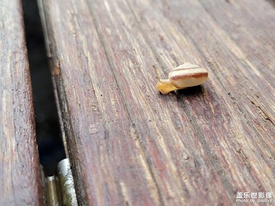 雨過天晴