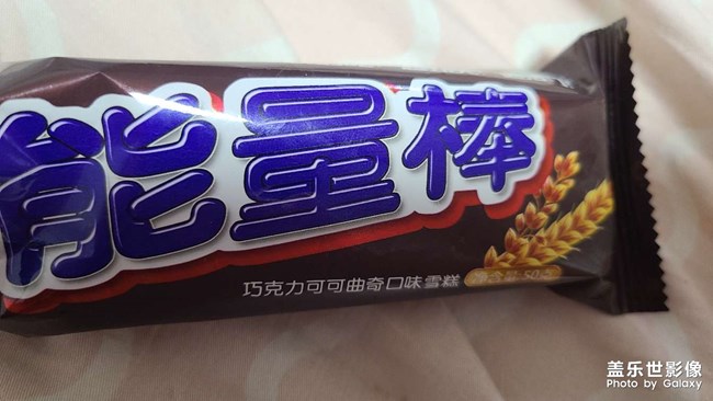 東北人的任性