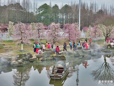 【場景小拍】+仙氣飄飄